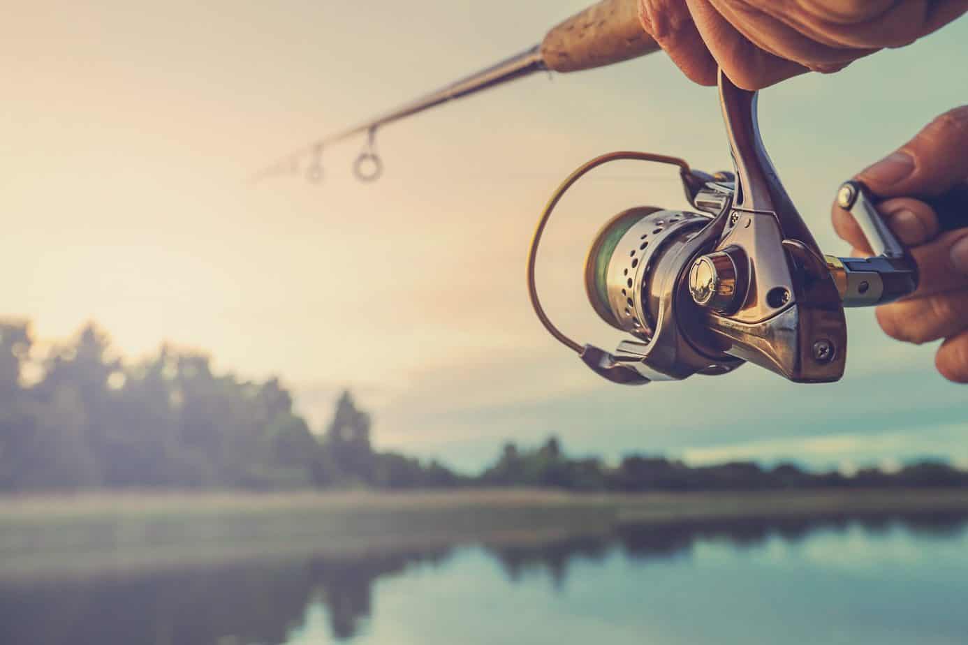 Which fishing rod to choose? Beginner’s guide to fishing