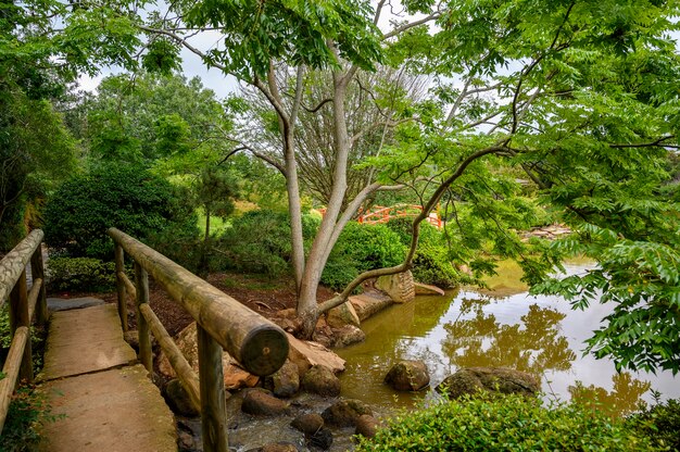 Creating a serene outdoor space with water features